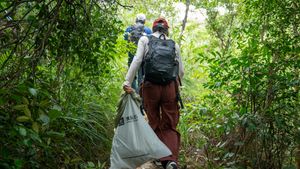 Conservation volunteers cleaning a forest trail
