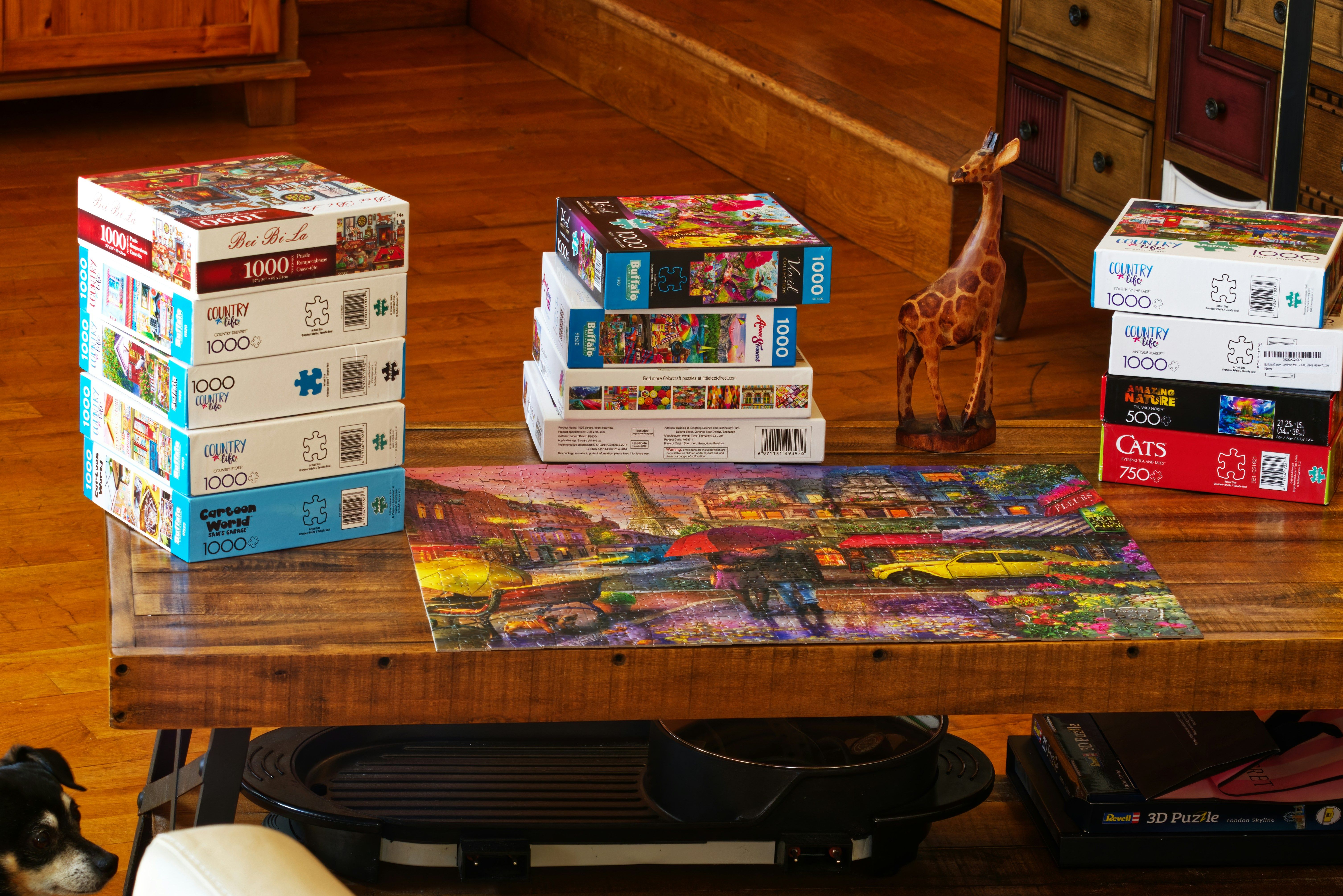 Puzzles on a table at a foster care agency
