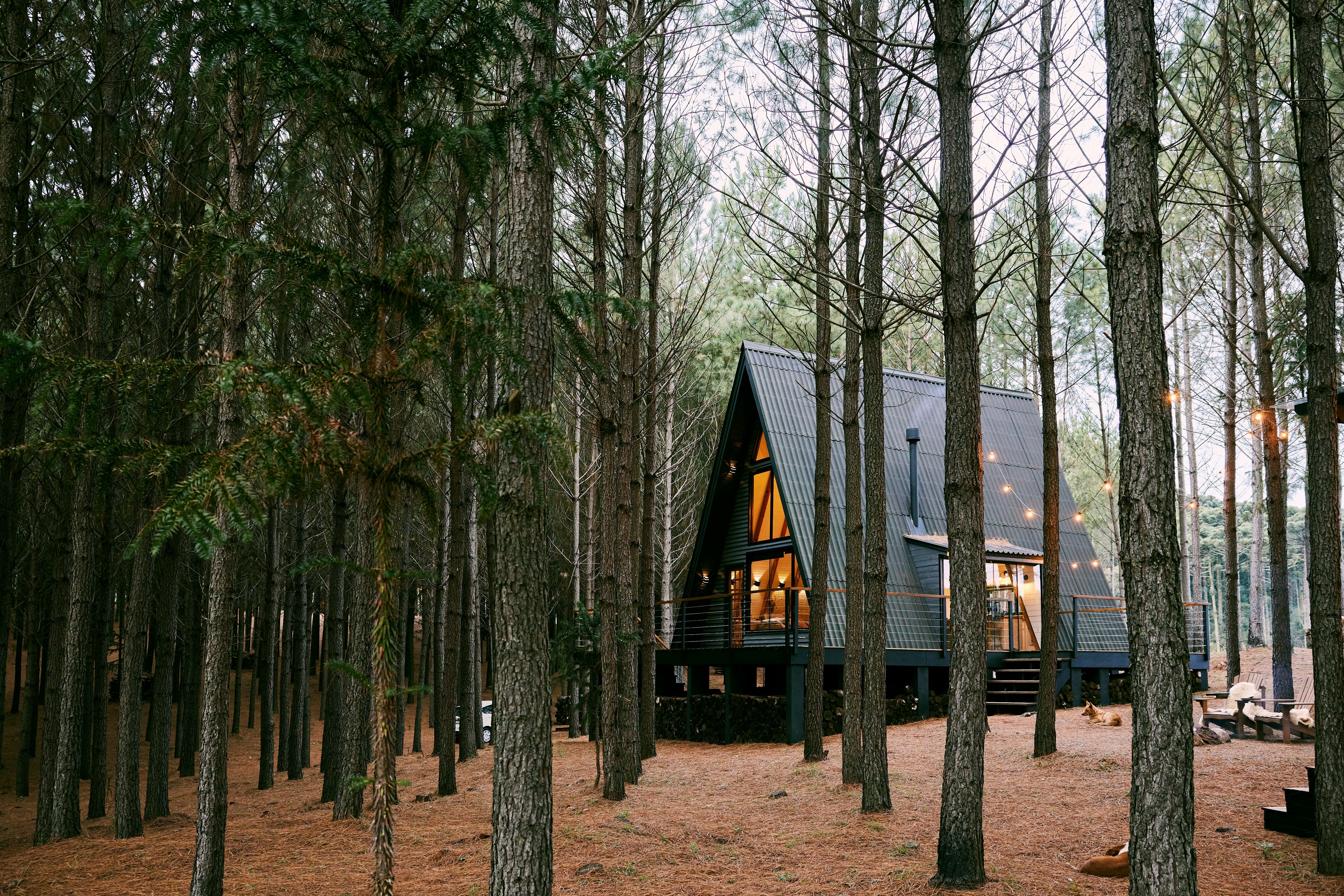 Vacation Home in woods